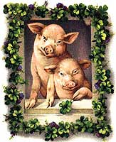 Glcksschweine - aus Silvesterbuch "Prosit Neujahr"